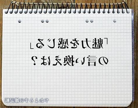 魅力 意思